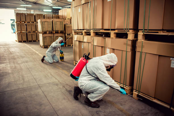 Best Ant Control Services  in St Louis, MI